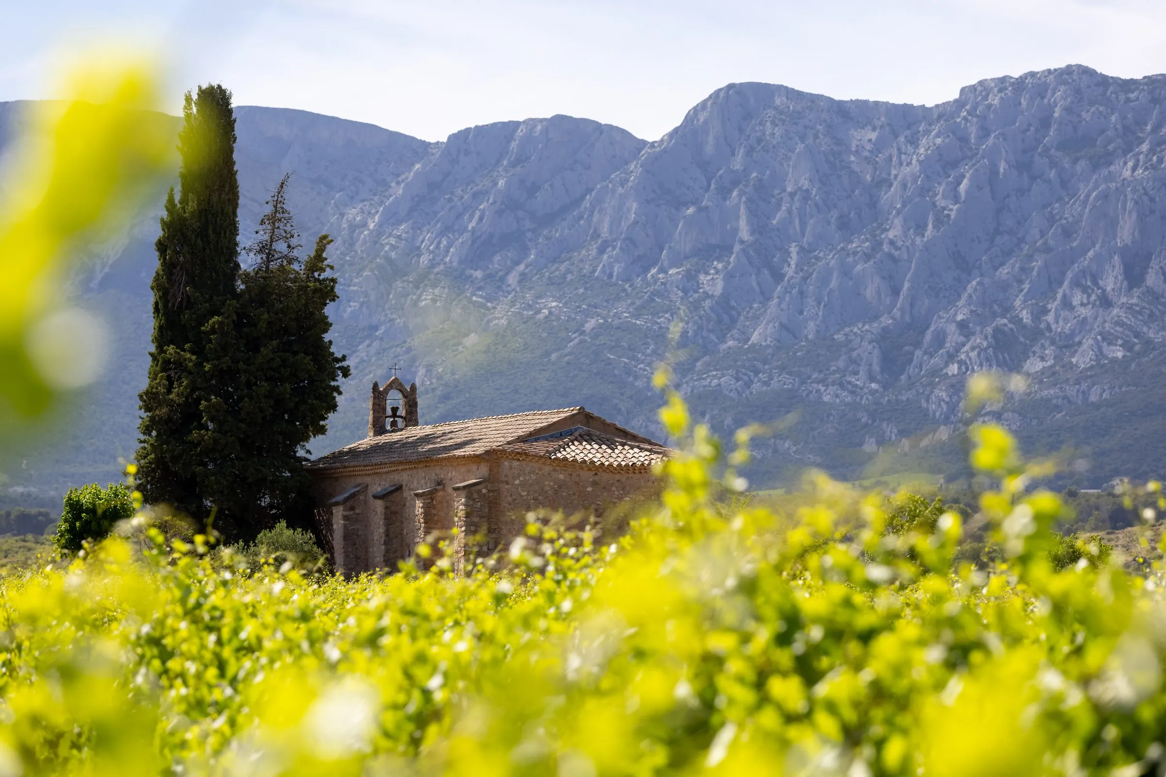La chapelle Saint-Pancrace au milieu des vignes, la Sainte-Victoire en fond