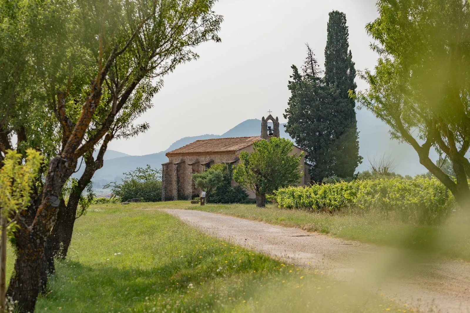 Le chemin vers la chapelle, sous le grand arbre