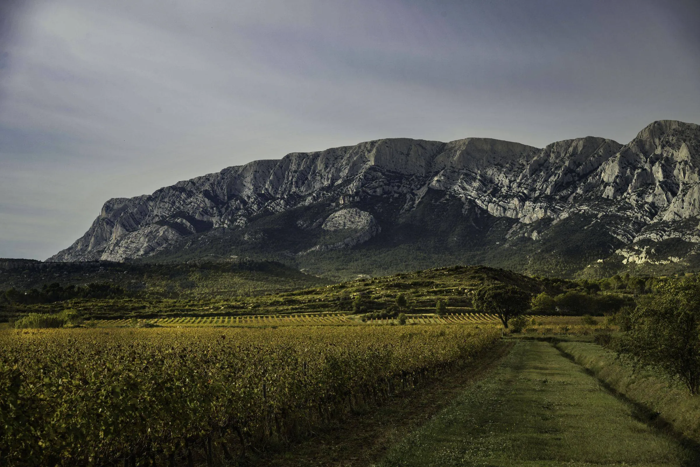 Il terroir della cuvée Blanc 2025