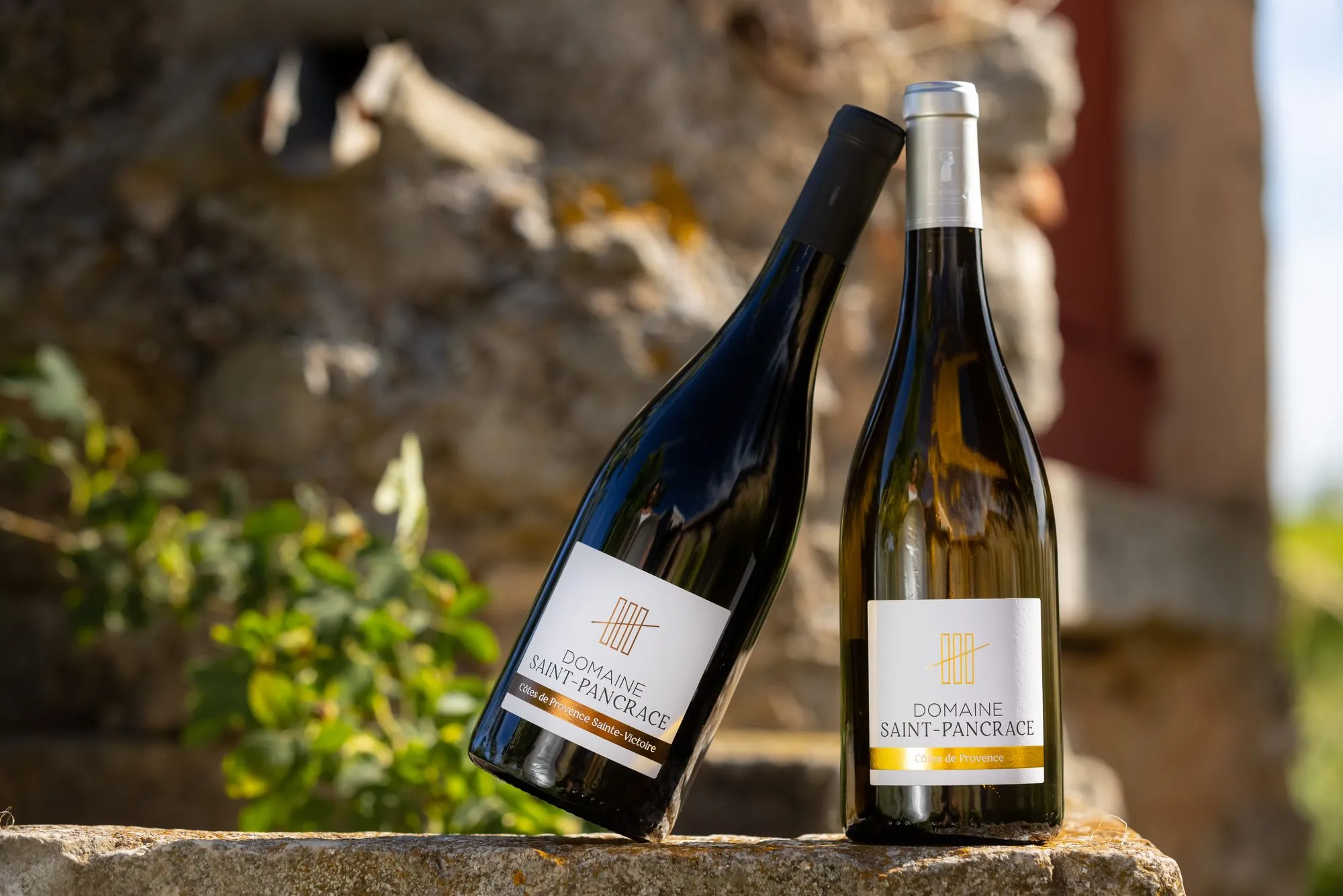 Deux cuvées du domaine devant le mur de pierre