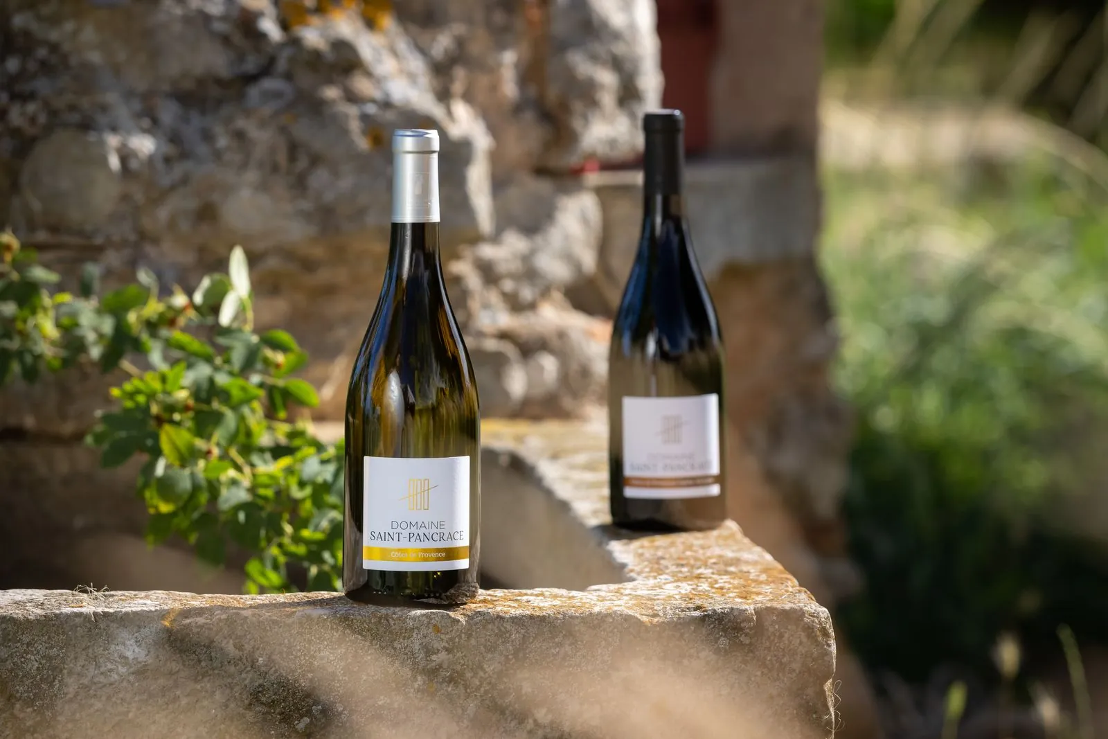 Deux cuvées du domaine posées sur le puits en pierre