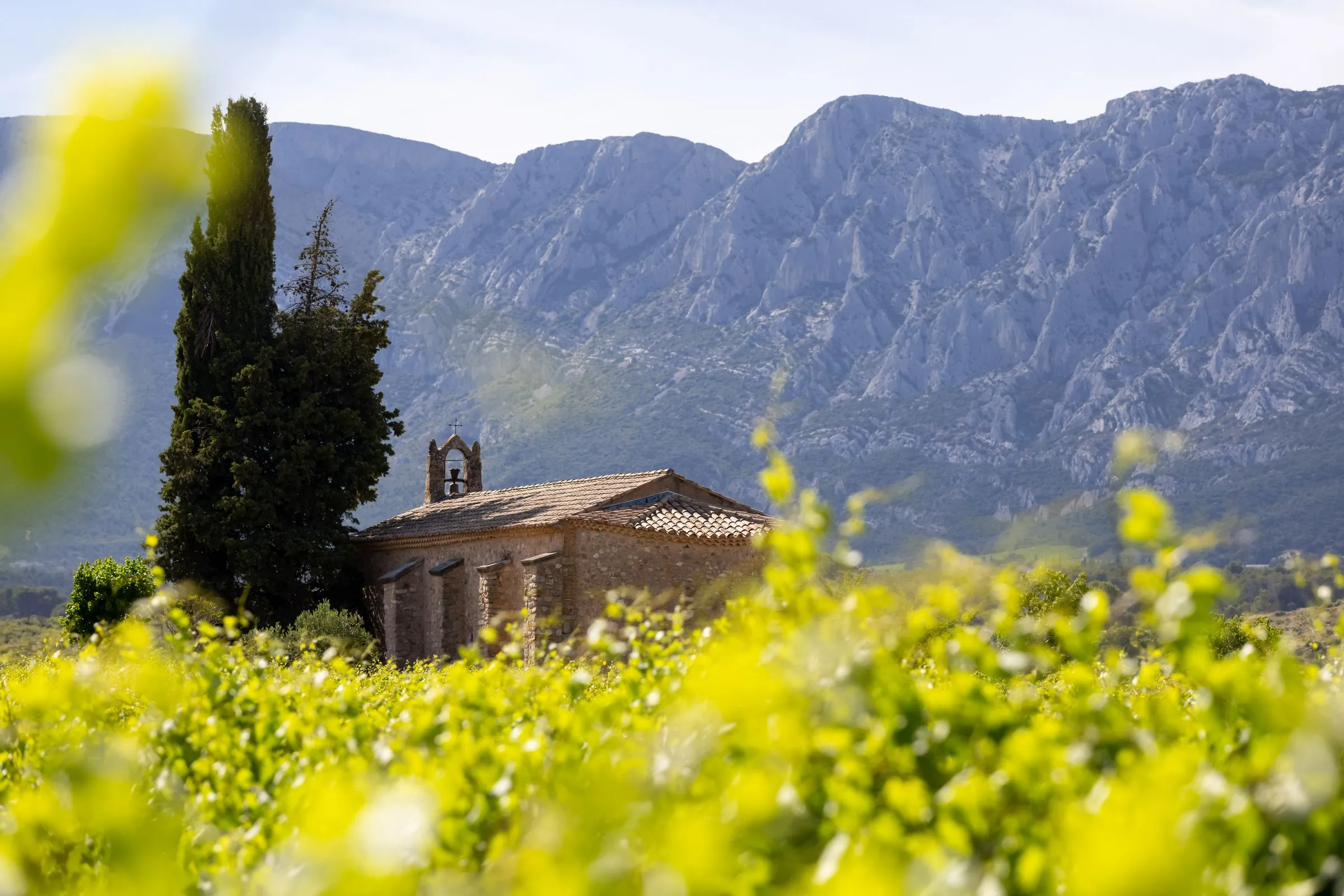 La chapelle Saint-Pancrace au milieu des vignes, la Sainte-Victoire en fond